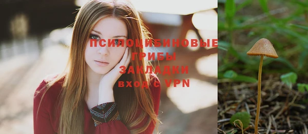 соль ск Белоозёрский